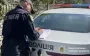 На Прикарпатті водій авто в’їхав в отару овець, загинули 28 тварин