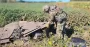 На Чернігівщині знешкодили бойові частини збитих ворожих дронів