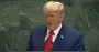 "Трупы в зарослях" и мрамор: речь Трампа в ООН