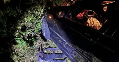 На Кіровоградщині BMW збив чотирьох пішоходів: двоє дітей загинули