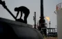 Несмотря на требования Трампа: Венгрия отказалась прекратить закупки нефти и газа в РФ