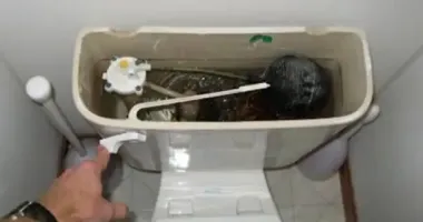 У Тернополі через зламаний бачок чоловік "злив" у каналізацію понад 173 тисячі гривень