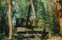 Бойцы РДК на трофейных российских танках прибыли на фронт: как модернизировали технику (фото)