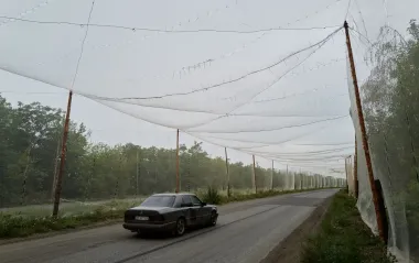На прифронтових територіях України дороги захистять антидроновими сітками
