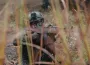 Между ВСУ и армией РФ произошло 80 боестолкновений с начала суток