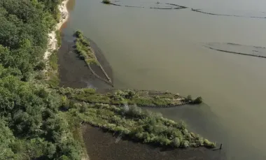 Взрывчатка Второй мировой оживляет Балтийское море: ученые фиксируют процветание морских существ (фото)
