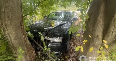 На Львівщині Audi вилетіла в кювет: постраждали три дитини, зокрема немовля