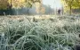 На вихідних в Україні холодна погода та заморозки
