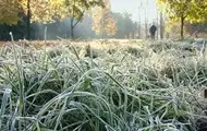 На вихідних в Україні холодна погода та заморозки