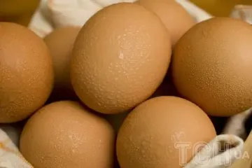 Скільки коштують яйця зараз та чи буде стрибок цін восени