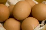 Скільки коштують яйця зараз та чи буде стрибок цін восени