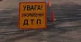 Во Львовской области полицейский на авто сбил лося: погиб 63-летний пассажир