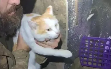 National Guard troops evacuate cat from "zero" line using ground robotic system. VIDEO