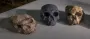 Тайна черепа Юньсянь 2: происхождение Homo sapiens снова под вопросом