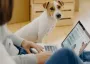 Работник подвергся давлению на работе: какие компенсации предусмотрены законом