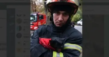 В Харькове спасатели спасли кота из пожара