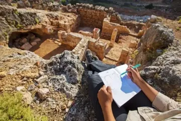 Знайдено череп віком мільйон років, який переписує історію людства (фото та дослідження)