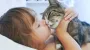 "Хочу котика!": что стоит знать, прежде чем завести животное для ребенка