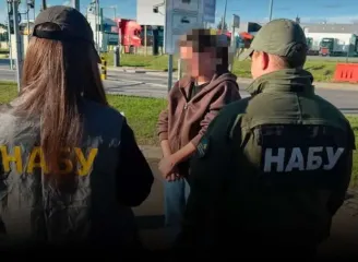 В Украину экстрадировали фигурантку дела о занижении стоимости земли в Закарпатье