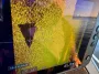 Эхолот рыбака обнаружил в Киевском море российский "Шахед", — Флеш