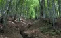 У Львівській області стався землетрус: що відомо