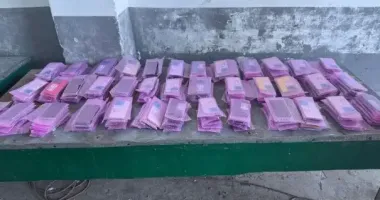 Мікроавтобус із сюрпризом: на кордоні з Польщею виявили майже 200 iPhone, захованих у колесі
