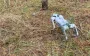 Робопес помог спасателям найти боеприпасы после обстрела: в ГСЧС показали фото