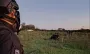 Загадочный "волосатый" объект упал с неба: полиция оцепила место, эксперты разводят руками