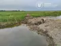 Екоінспекція виграла суд: "Аделаїда" має виконати припис і відзвітувати за воду