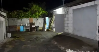 Мужчина в Броварском районе смертельно избил женщину деревянной палкой во время ссоры