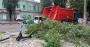 В Одессе коммунальщики ликвидируют последствия непогоды: повалено 70 деревьев