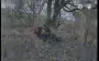 Ukrainian drone strikes occupier "relieving himself" in tree line. VIDEO