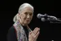 Environmentalists, politicians, celebrities recall life and influence of primatologist Jane Goodall