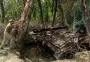 Військовий розповів про «цікаву тактику ведення бою» на Добропільсько-Покровському напрямку