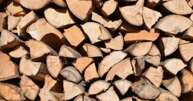 Харківська область готується до опалювального сезону: мешканців забезпечують паливною деревиною