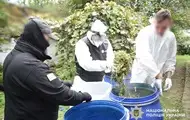 На Київщині вилучили наркотиків на 15 млн грн