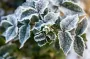 Заморозки до -3°C і пожежна загроза: де в Україні чекати погодних пасток