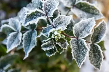 Заморозки до -3°C і пожежна загроза: де в Україні чекати погодних пасток