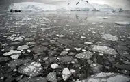 В Антарктиде фиксируется почти рекордное таяние льда