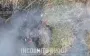 Occupier fled and got entangled in grass — he was eliminated by Ukrainian drone. VIDEO