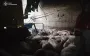Russia shelled farm in Kharkiv region: 13,000 pigs were killed. PHOTOS
