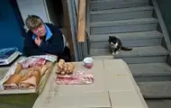 Ціни на м'ясо сягнули історичного максимуму - ООН
