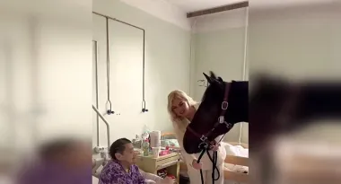 "Какое чудо": певица Камалия привела в киевскую больницу лошадь (видео)
