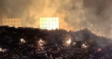 "До 17 влучань дронів": на Одещині знищено 250 тисяч пляшок коньяку AZNAURI