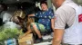 URCS evacuates people from Dnipropetrovsk's frontline settlements daily