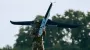 Дроны ССО поразили важные объекты вражеской ПВО в Воронежской области РФ
