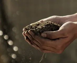 Українців звільнять від земельного податку: кого не змусять платити