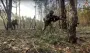 Военный ВСУ рассказал о котлах для россиян возле Доброполья
