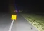 На Київщині двоє людей загинули у жахливій ДТП: у поліції повідомили деталі (фото)