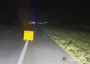 На Киевщине два человека погибли в ужасном ДТП: в полиции сообщили детали (фото)